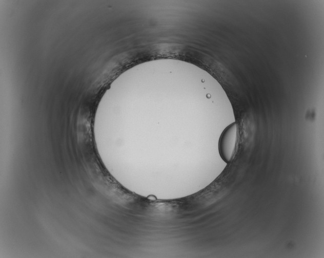 X0000114620522200911101217
