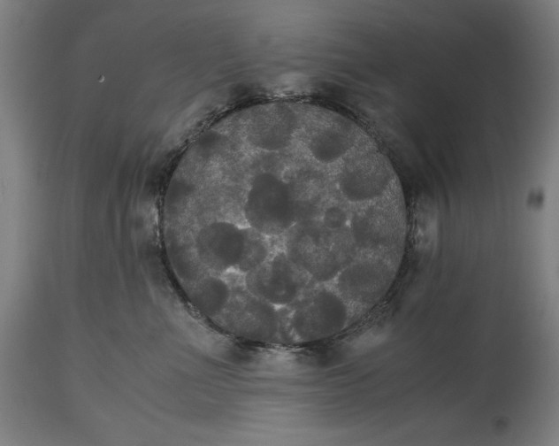 X0000114620523200911101217