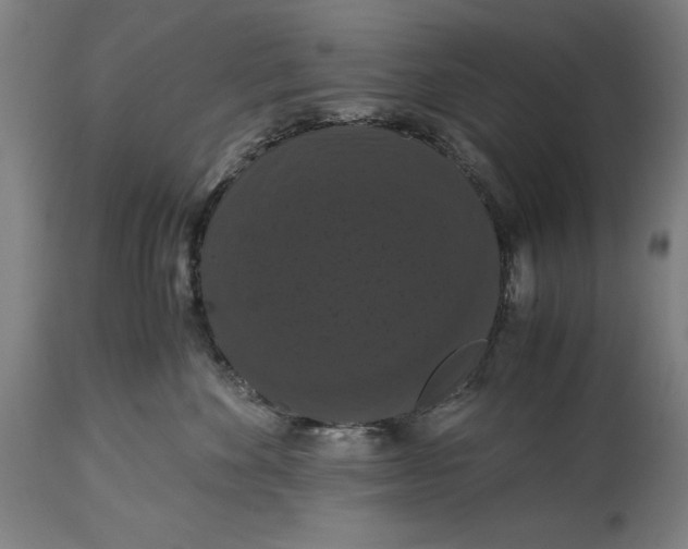 X0000114620524200911101217