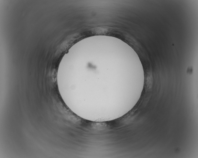 X0000114620525200911101217