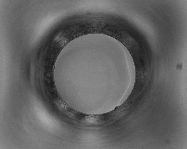 X0000114620526200911101217