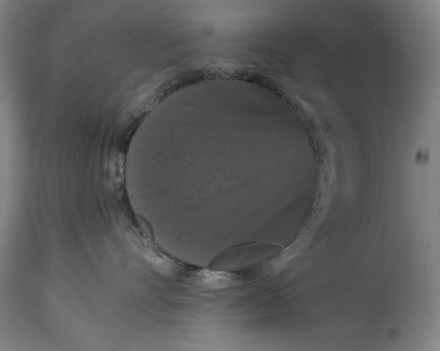 X0000114620528200911101217
