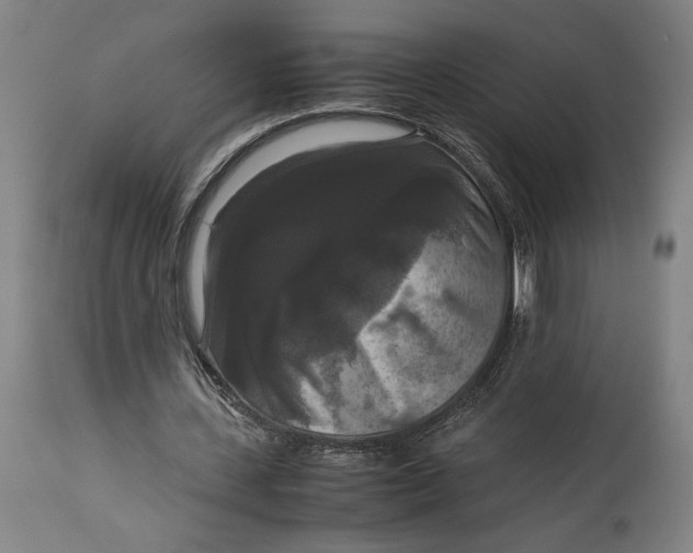 X0000114620531200911101216