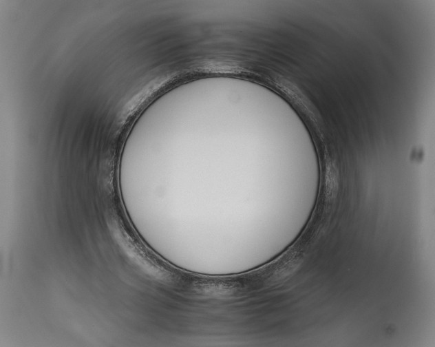 X0000114620533200911101216