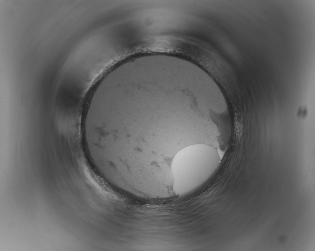 X0000114620534200911101216