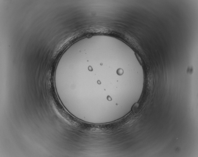 X0000114620538200911101216