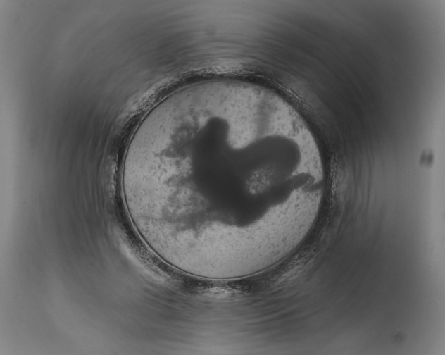 X0000114620542200911101216
