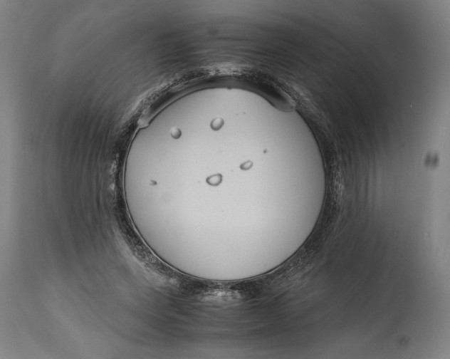 X0000114620543200911101216