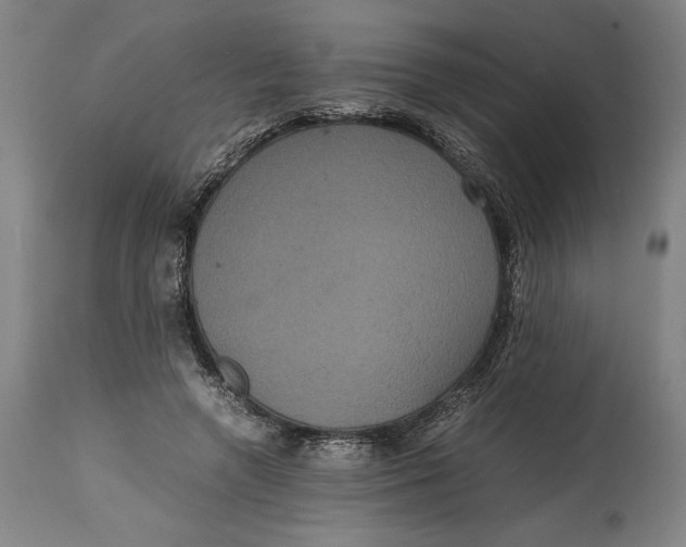 X0000114620546200911101216