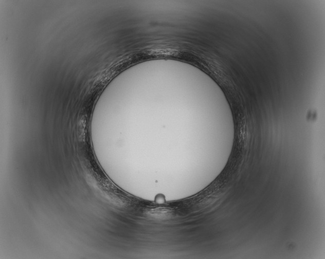 X0000114620551200911101216