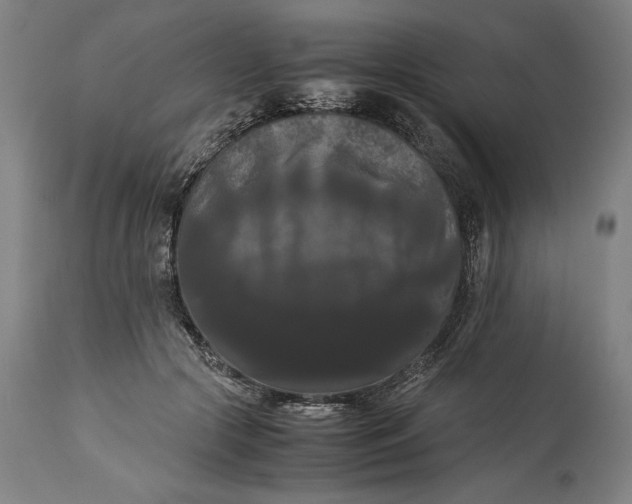 X0000114620553200911101216