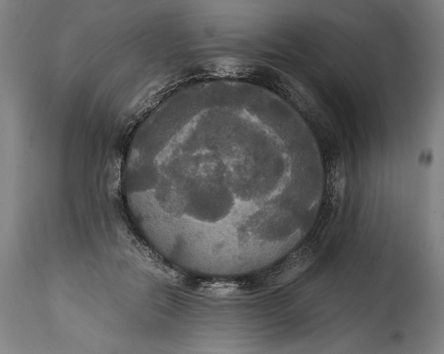 X0000114620554200911101216