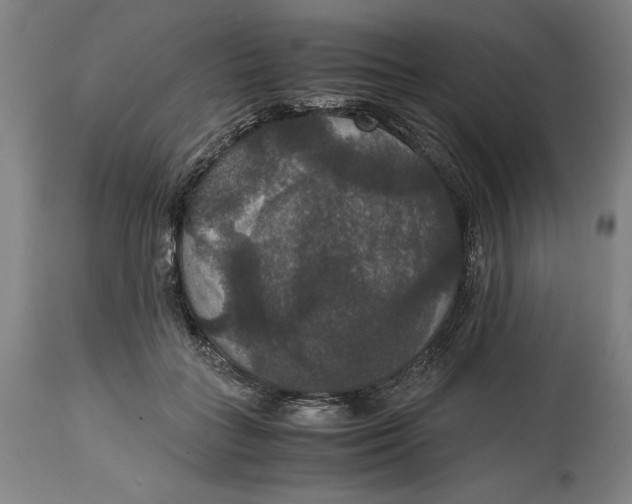 X0000114620555200911101216