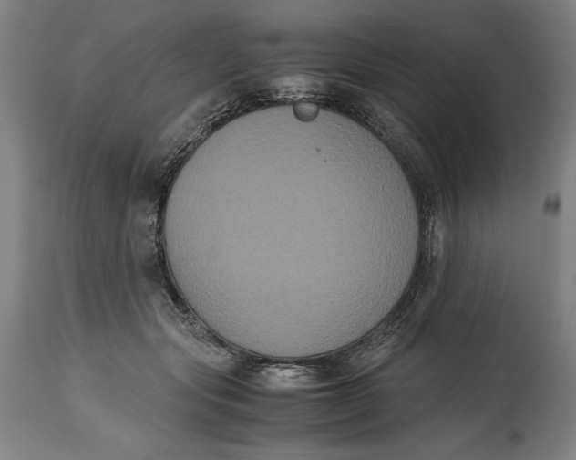 X0000114620557200911101216