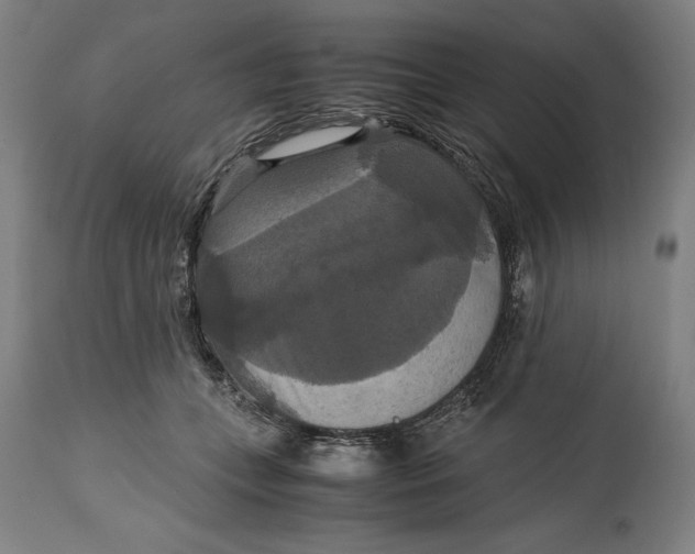 X0000114620559200911101216