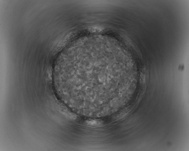 X0000114620561200911101217