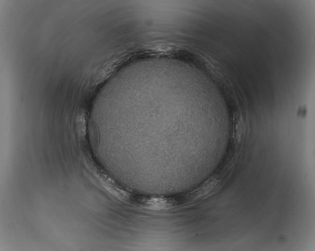 X0000114620562200911101217