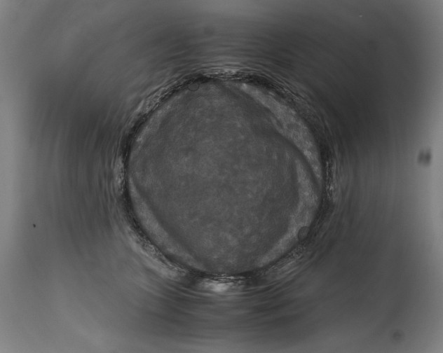 X0000114620563200911101217