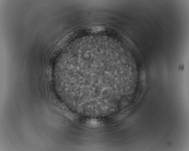 X0000114620565200911101217