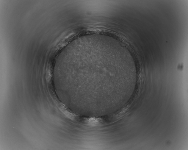 X0000114620566200911101217