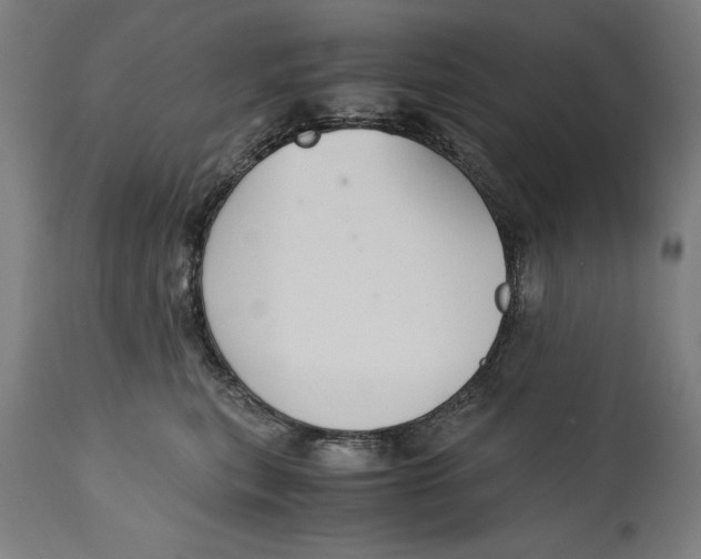 X0000114620567200911101217