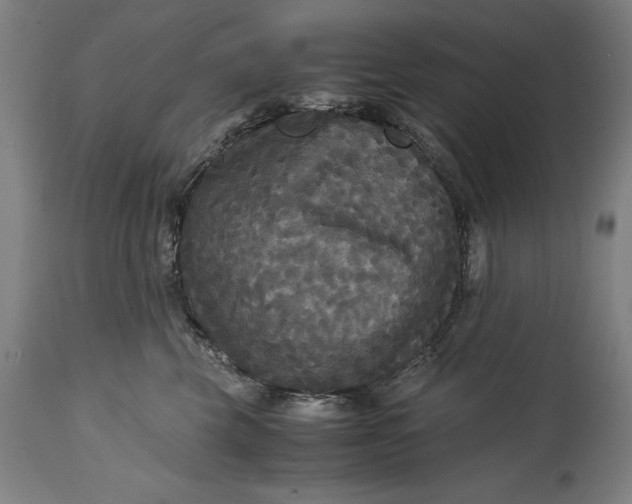 X0000114620569200911101217