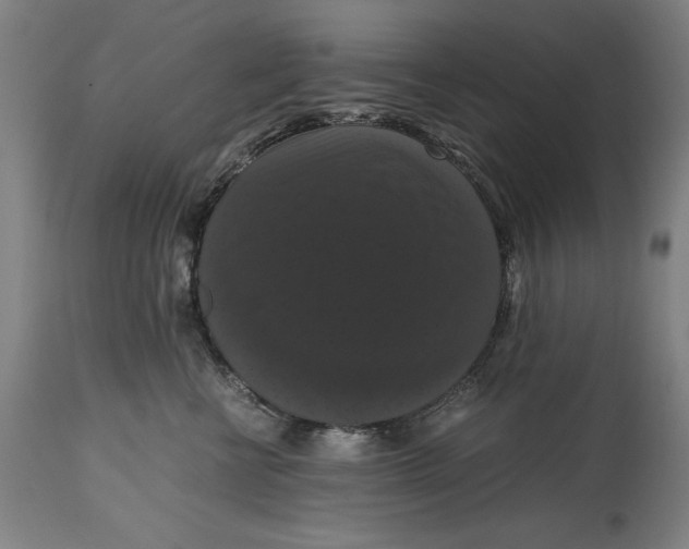 X0000114620570200911101217
