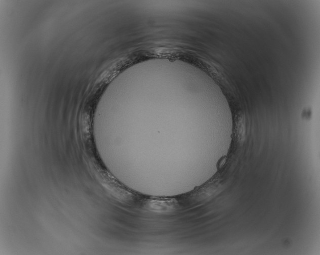 X0000114620571200911101217