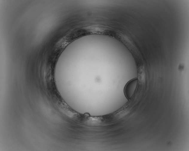 X0000114620573200911101217
