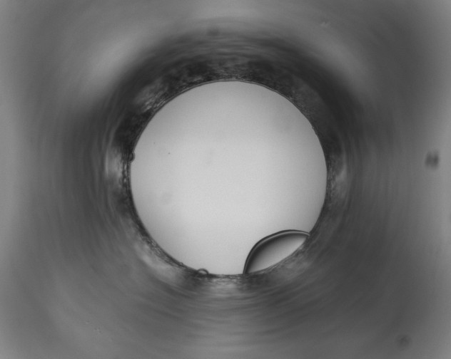 X0000114620574200911101217