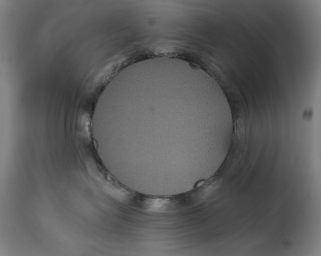 X0000114620575200911101217
