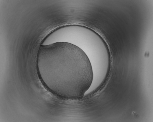 X0000114620577200911101216