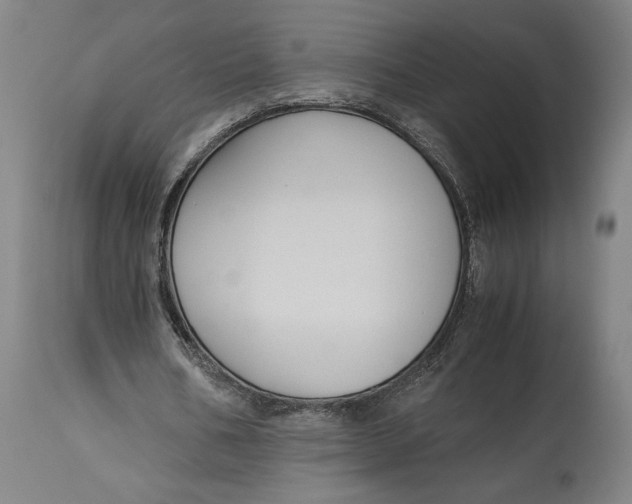 X0000114620578200911101216