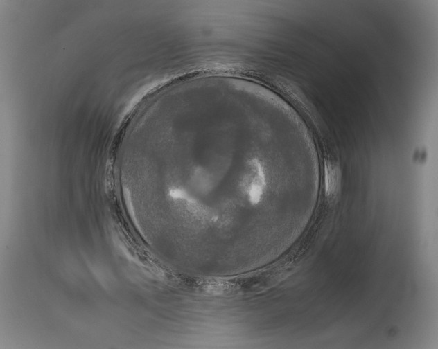 X0000114620579200911101216