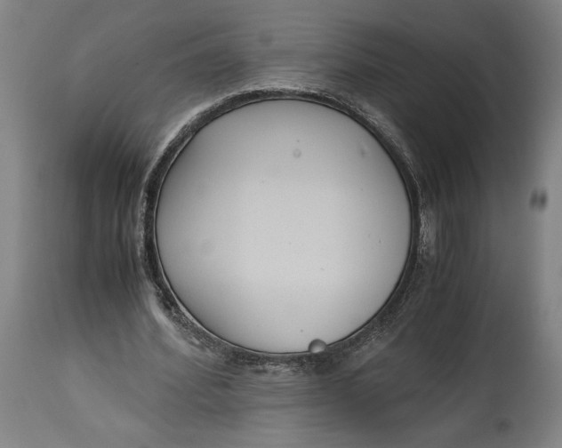 X0000114620580200911101216