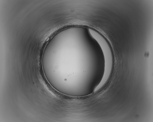 X0000114620581200911101216