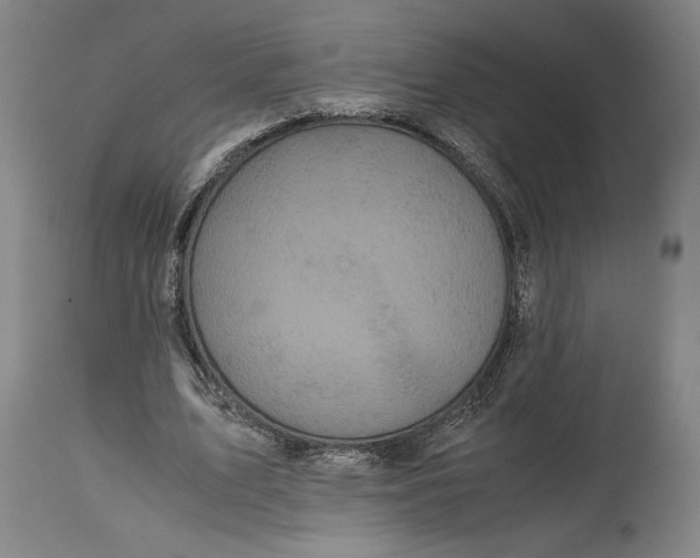 X0000114620583200911101216