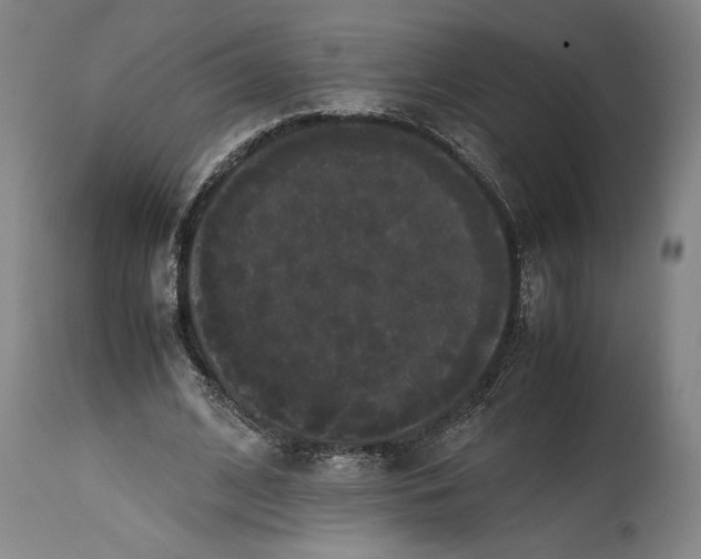 X0000114620584200911101216