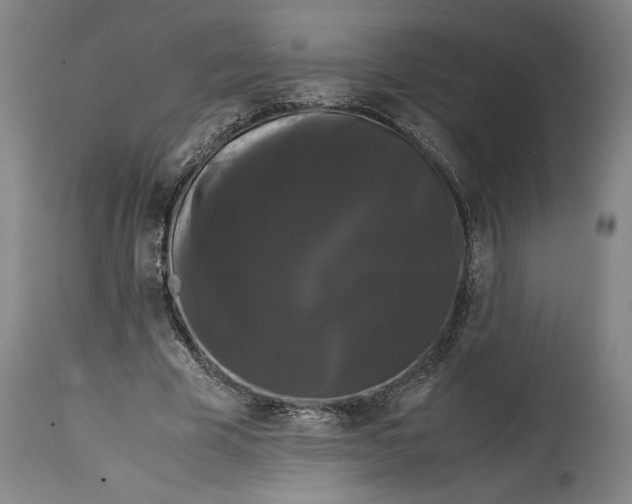 X0000114620585200911101216