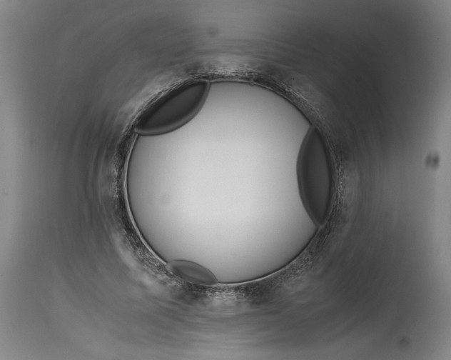 X0000114620587200911101216