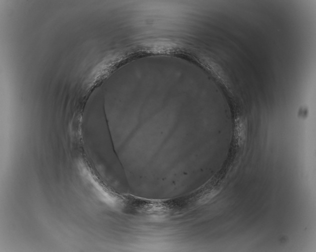 X0000114620589200911101216