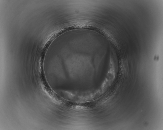 X0000114620590200911101216