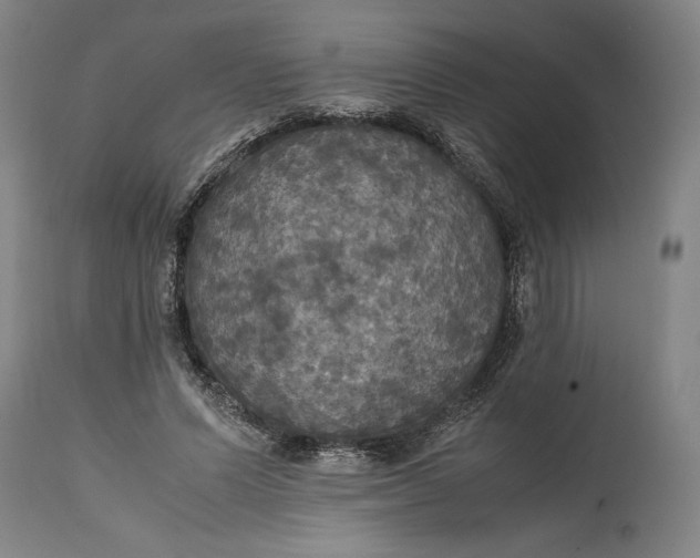 X0000114620591200911101216