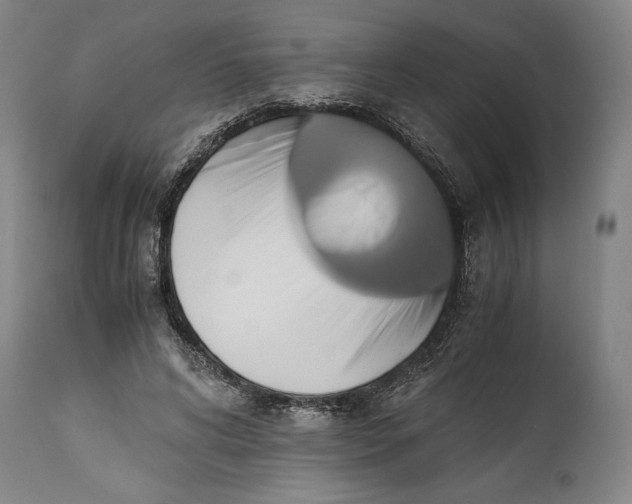 X0000114620592200911101216