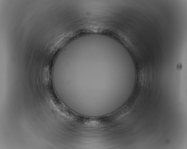 X0000114620594200911101216