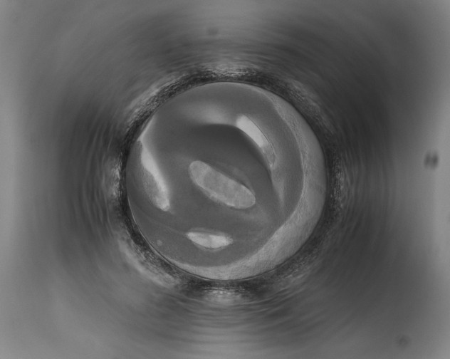 X0000114620596200911101216