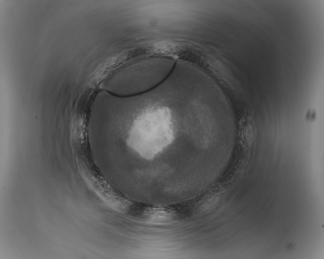 X0000114620597200911101216