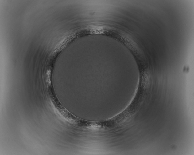 X0000114620598200911101216