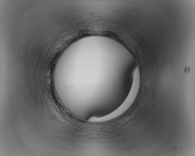 X0000114620599200911101216
