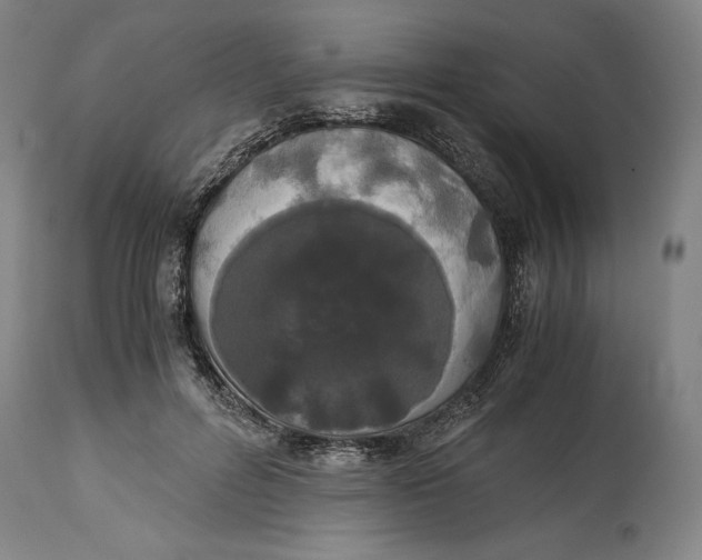 X0000114620600200911101216